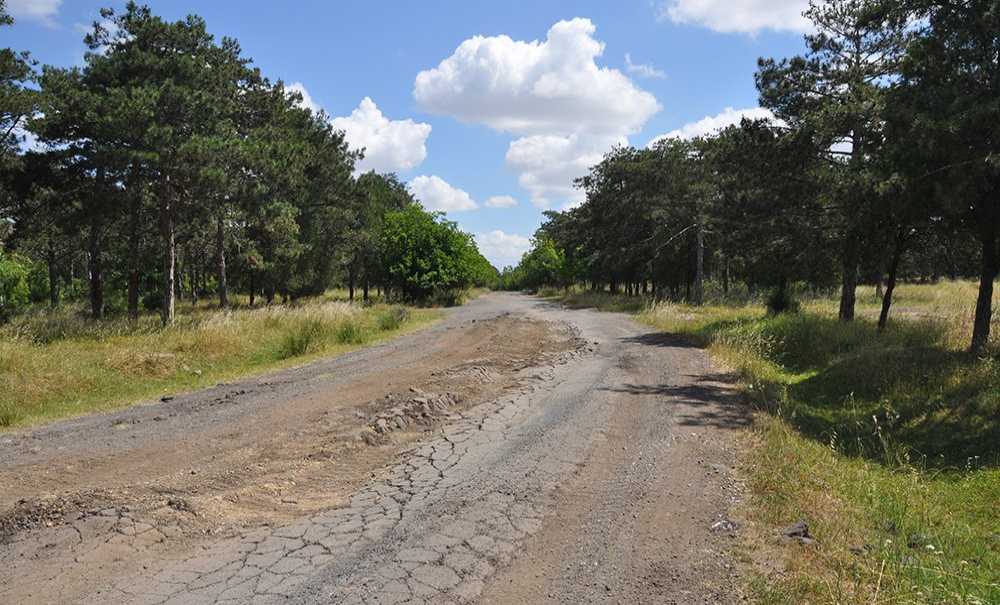 Ağıl Tepede Yine Sessizlik Hâkim!
