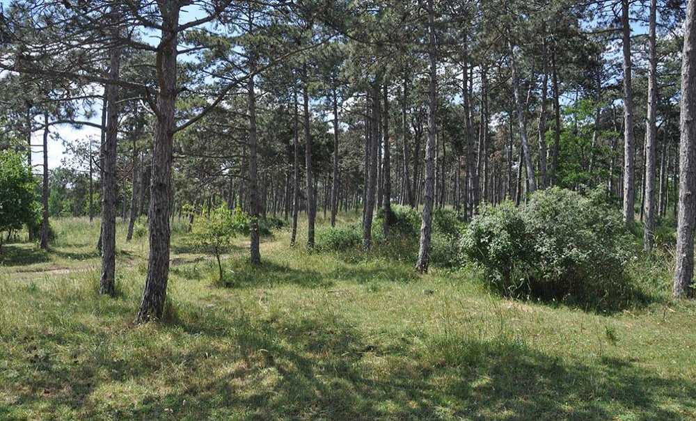 Ağıltepe'yle İlgi̇li̇ ‘Hayal Kırıklığı'