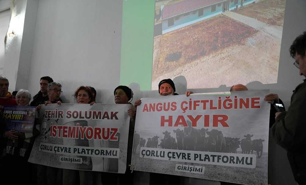 Angus Çi̇ftli̇ği̇ne ‘Hayir' Deni̇ldi̇