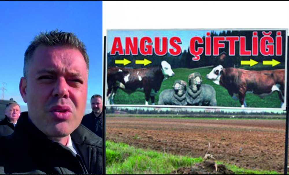 Angus Kokusuna Hayir!