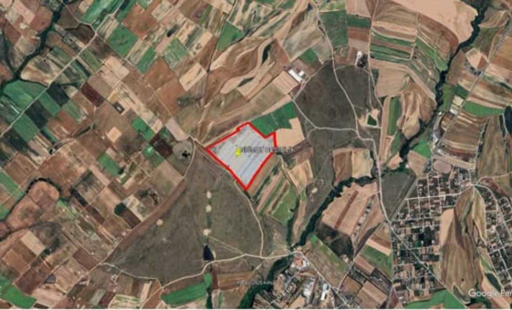 Angus Kokusuna Hayir!