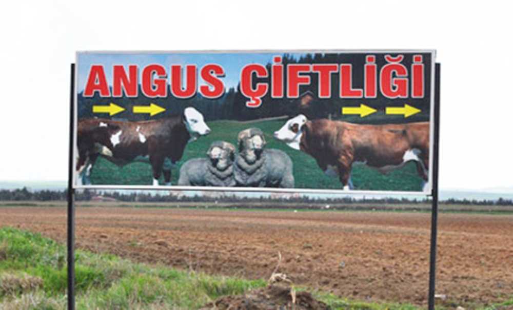 Angus Kokusuna Karşı; Çorlu Çed Toplantisina Odaklandi