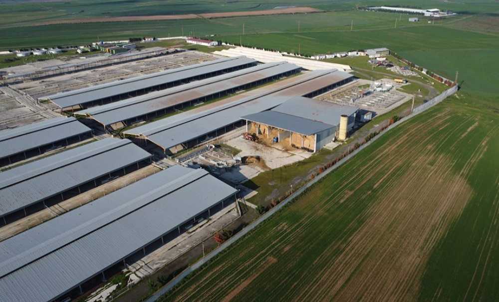 Angus Kokusuna Karşı; Çorlu Çed Toplantisina Odaklandi