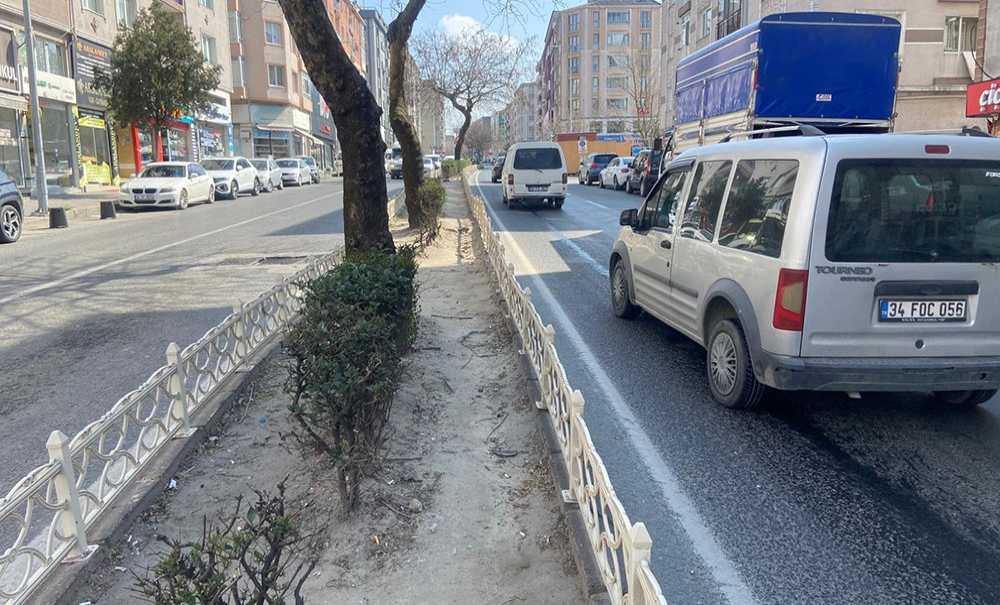 Atatürk Bulvarı'nda Refüjler Yenilendi