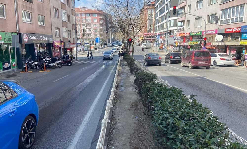 Atatürk Bulvarı'nda Refüjler Yenilendi