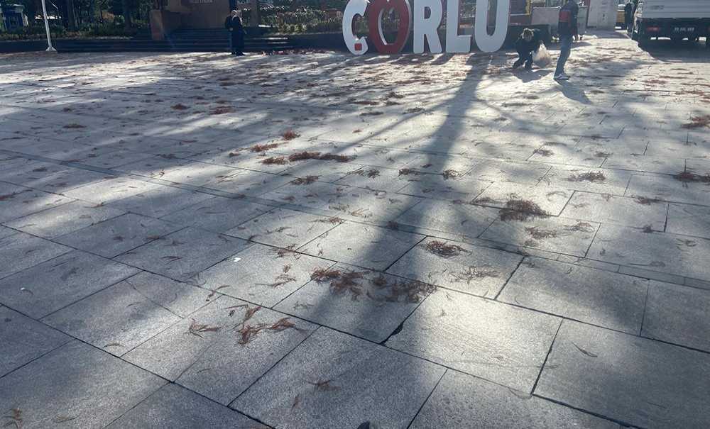 Atatürk Meydani'ndaki̇ Bu Görüntü Tepki̇ Çekti̇