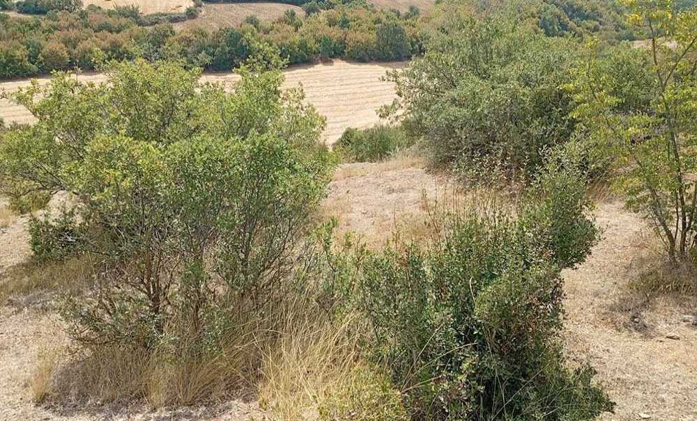 Aygun'den Dikkat Çeken ‘Baraj' Açıklaması