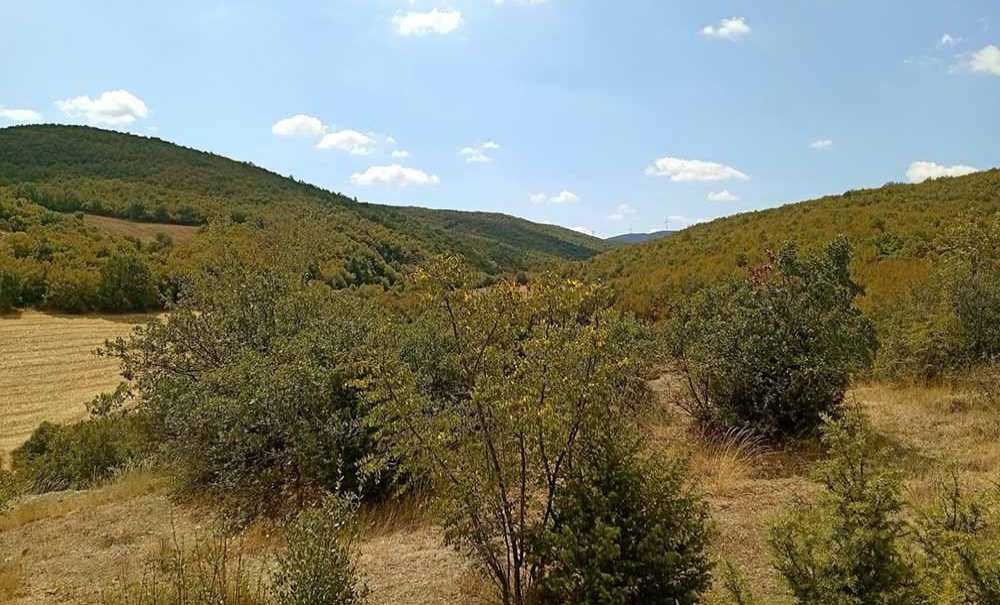 Aygun'den Dikkat Çeken ‘Baraj' Açıklaması