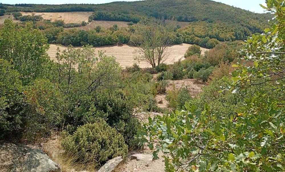 Aygun'den Dikkat Çeken ‘Baraj' Açıklaması