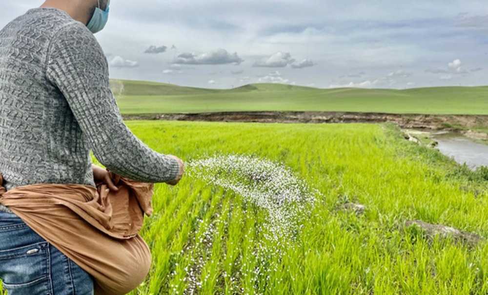 Bahar Yağmurları Çiftçinin Tek Umudu