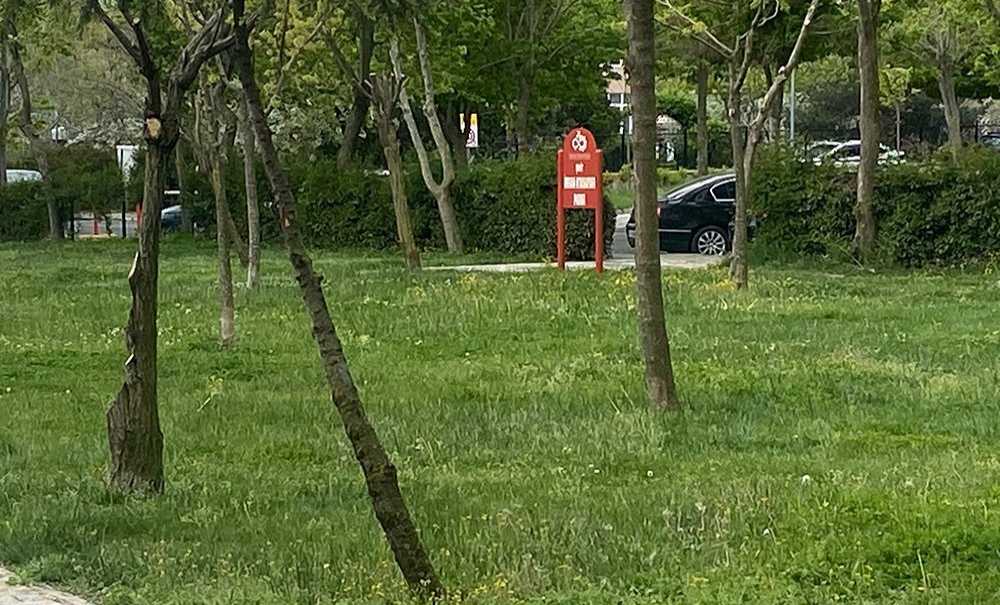 Baharın Gelmesiyle Parklar Yeşile Büründü