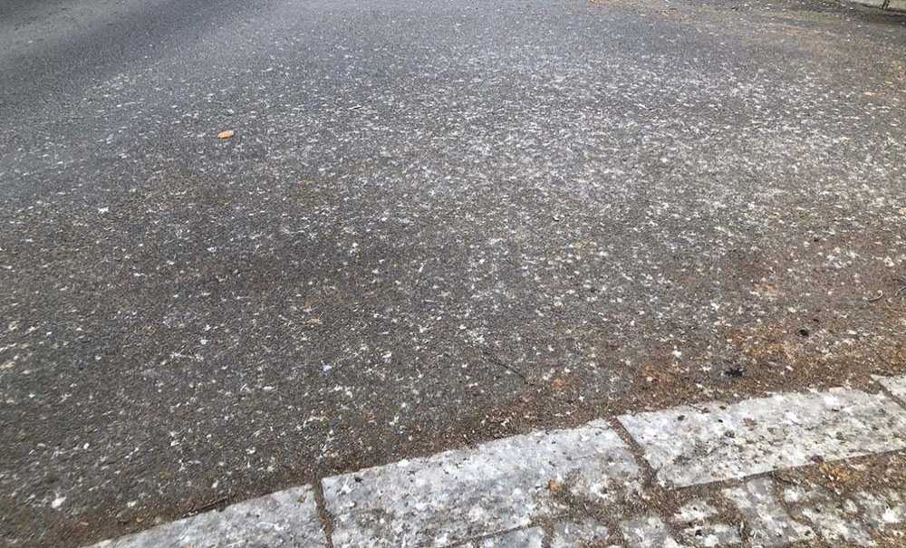 Bahçelievler Kuş Pisliğinden Geçilmiyor