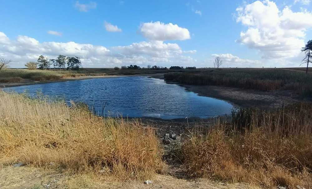 Barajlardaki Balık Ölümleri Dikkat Çekiyor