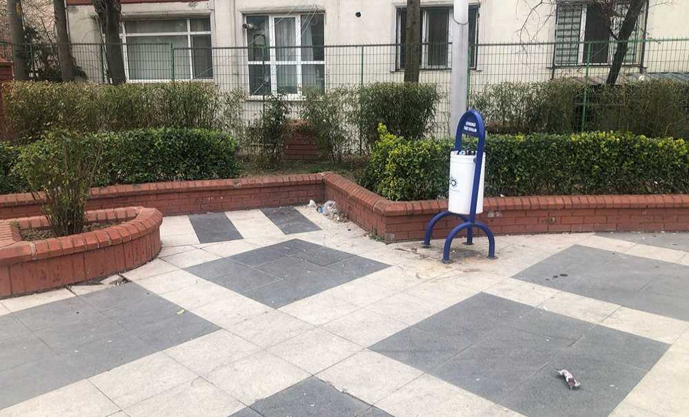 Bazı Vatandaşların ‘Çöp' Duyarsızlığı!