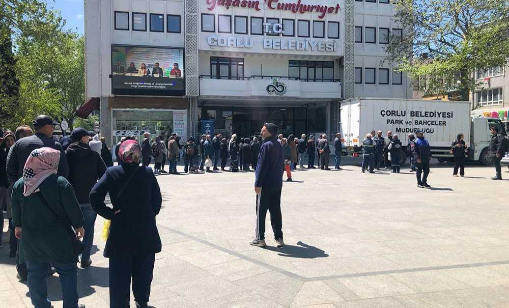 Belediye Seymen Kavunu Fidesi Dağıttı