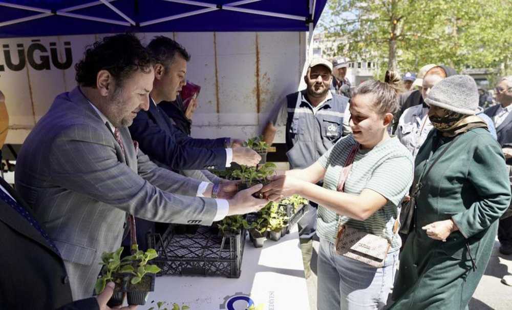 Belediye Seymen Kavunu Fidesi Dağıttı