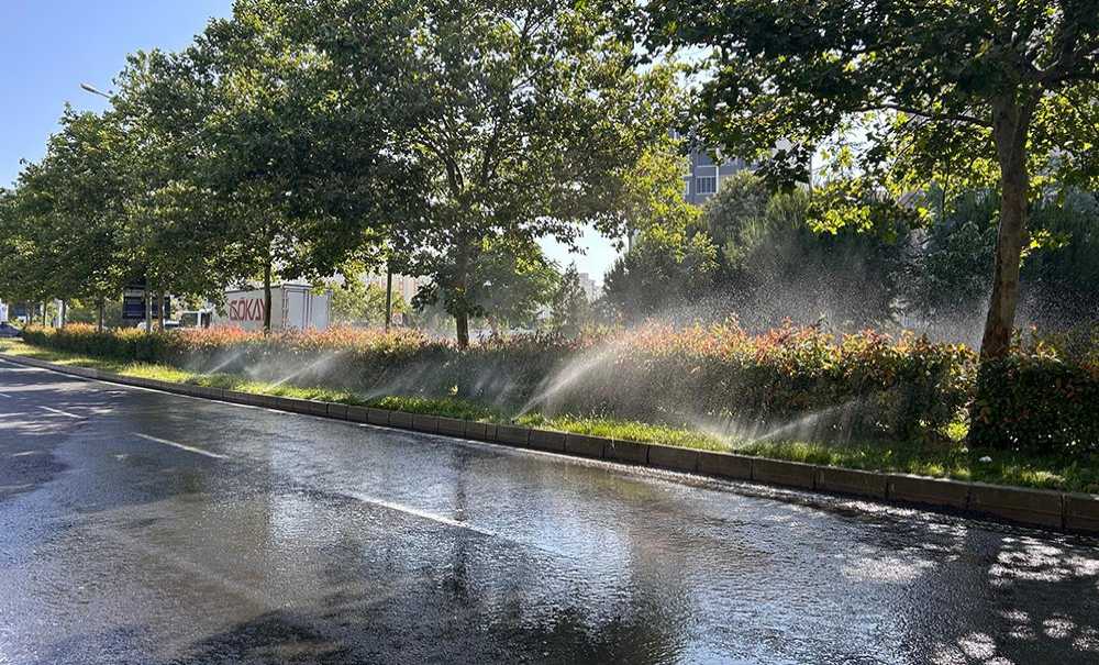 Bitkilerden Çok Yollar Sulanıyor