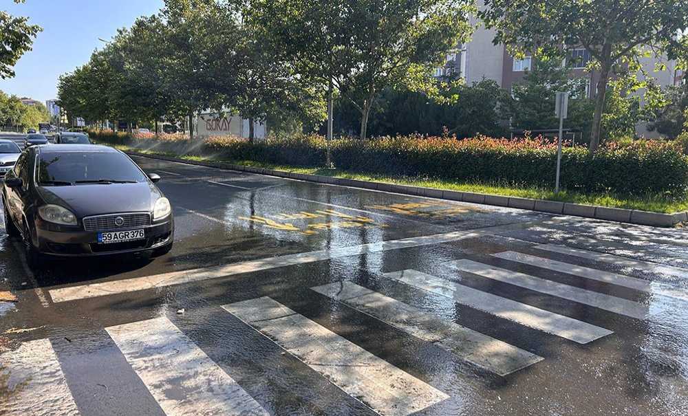 Bitkilerden Çok Yollar Sulanıyor