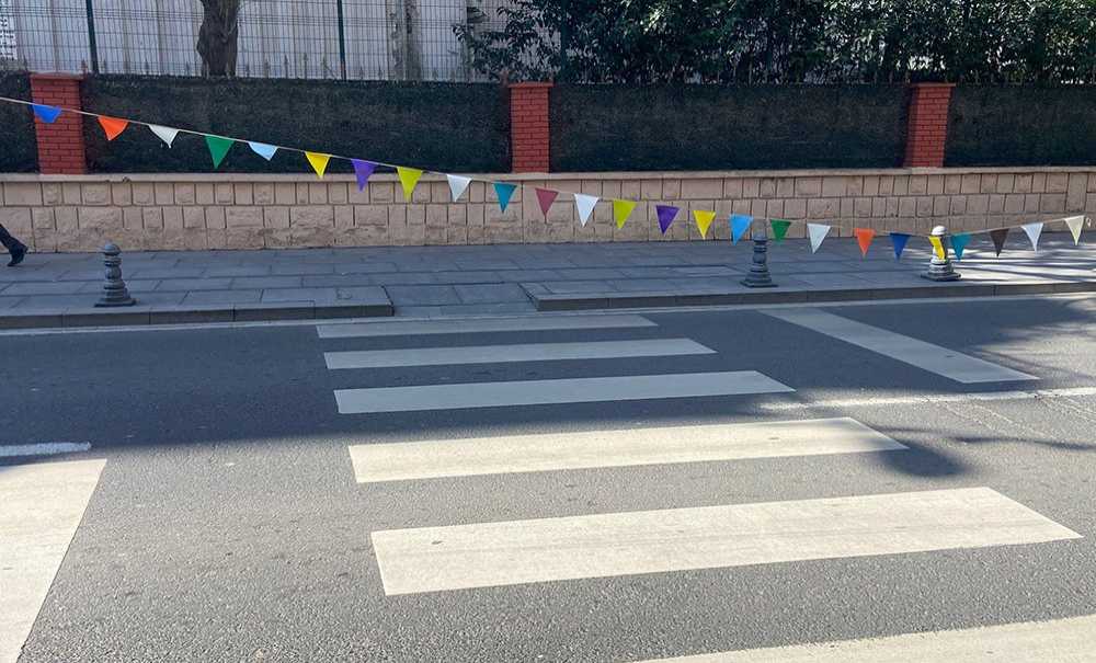 Bu Bayrakları Kim Astı?