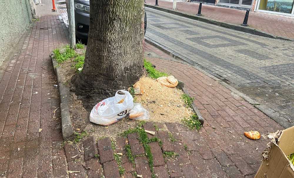 Bu Görüntüler Tepki Çekiyor