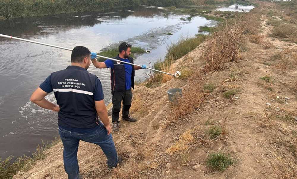 Çevre Sorunlarına Karşı Müdürlük Teyakkuzda