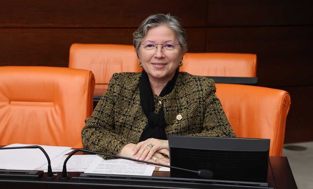 Chp Tekirdağ Milletvekili Ve Tbmm Katip Üyesi Nurten Yontar;