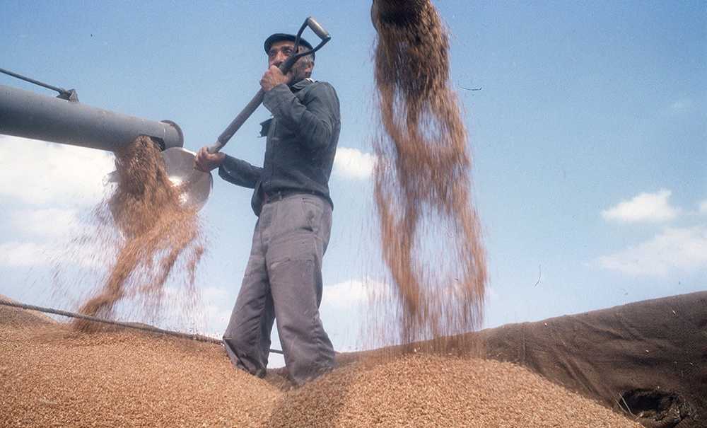Çiftçiler Bahar Yağmurlarını Hasretle Bekliyor