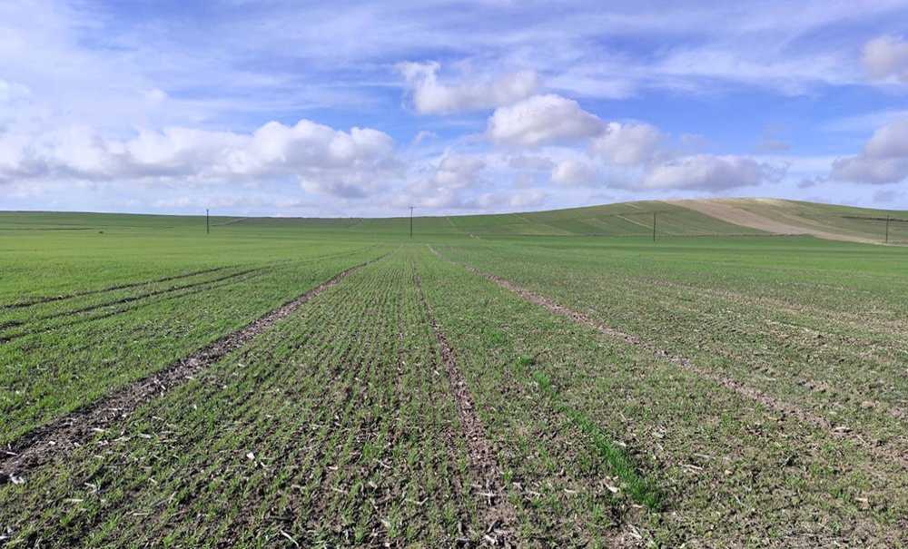 Çiftçiler Bahar Yağmurlarını Hasretle Bekliyor