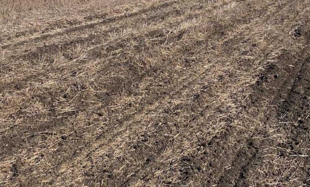 Çiftçilerden Maliyet Düşüren Yeni Deneme: