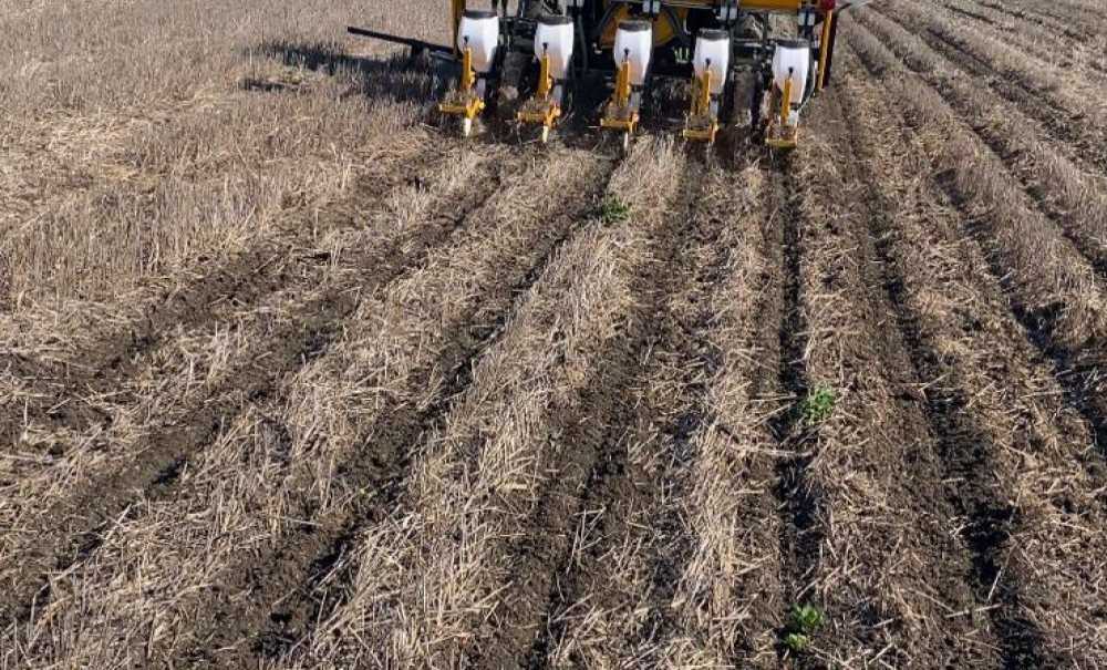 Çiftçilerden Maliyet Düşüren Yeni Deneme: