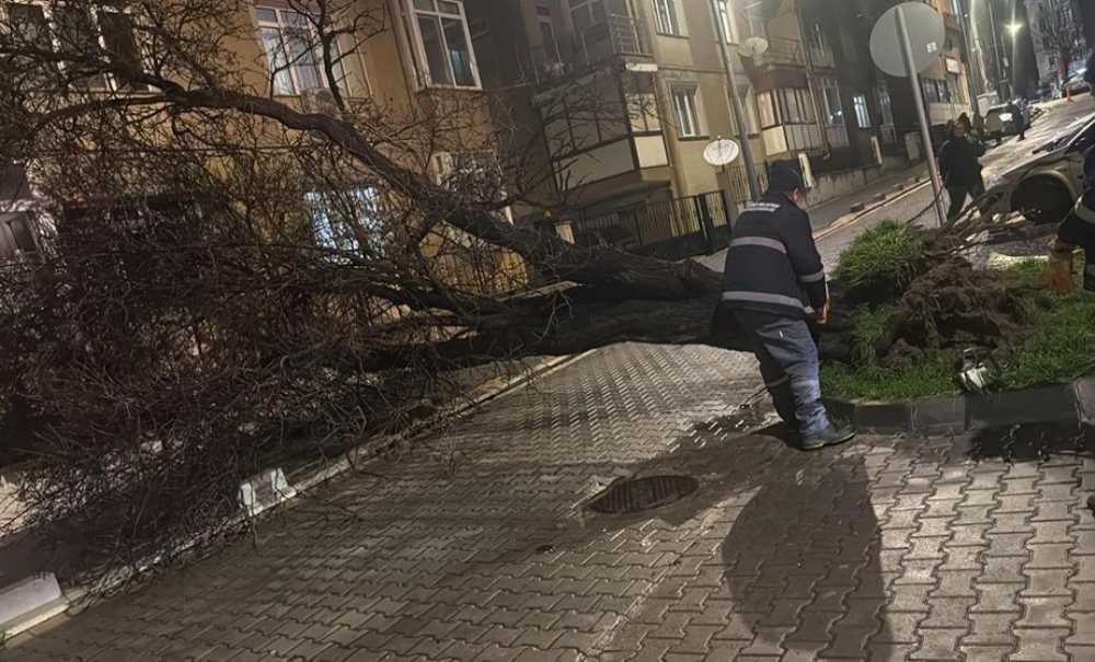 Çorlu Belediyesi Fırtınaya Karşı Teyakkuzdaydı