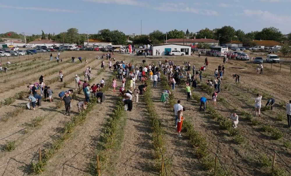 Çorlu'da 3. Aronya Hasat Şenliği Coşkuyla Gerçekleşti