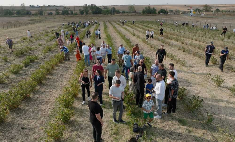 Çorlu'da 3. Aronya Hasat Şenliği Coşkuyla Gerçekleşti