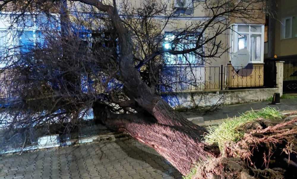 Çorlu'da Fırtına Etkili Oldu