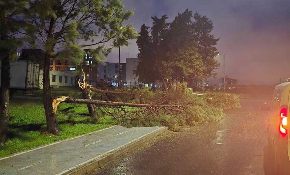Çorlu'da Fırtına Etkili Oldu