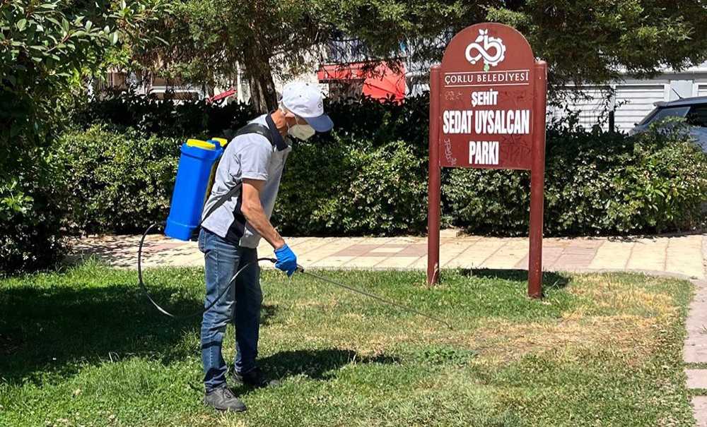 Çorlu'da Keneyle Mücadele Çalışmaları