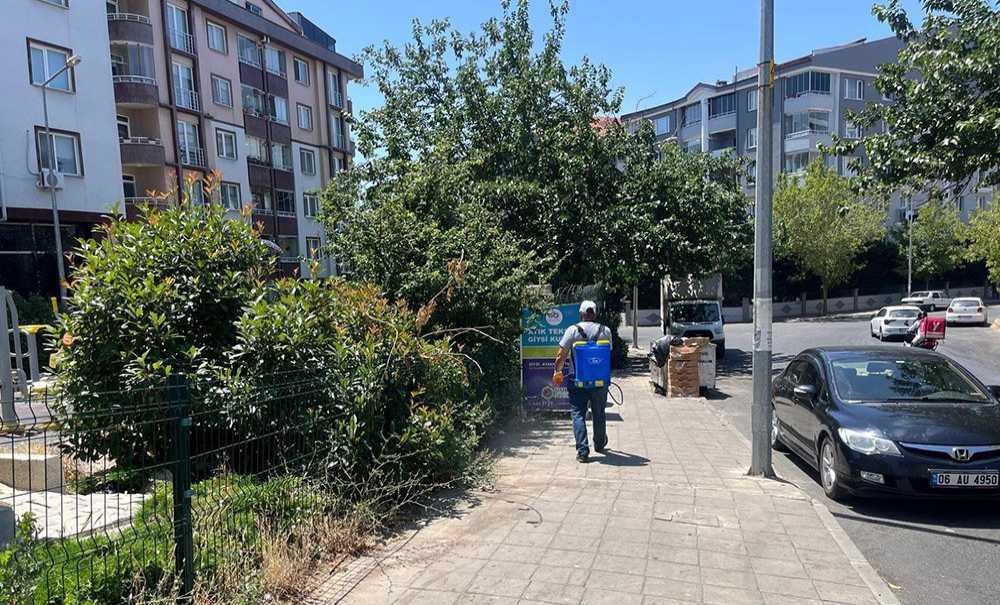 Çorlu'da Keneyle Mücadele Çalışmaları