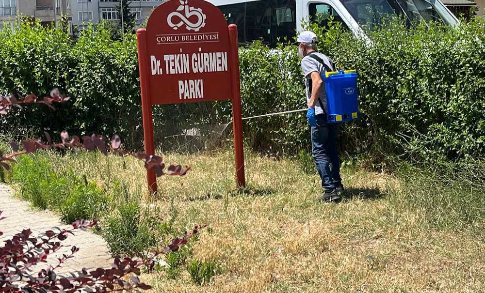 Çorlu'da Keneyle Mücadele Çalışmaları