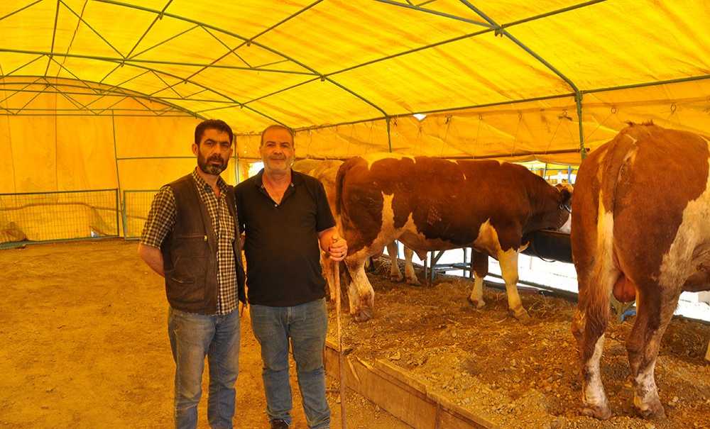 Çorlu'da Kurban Pazarı Açıldı