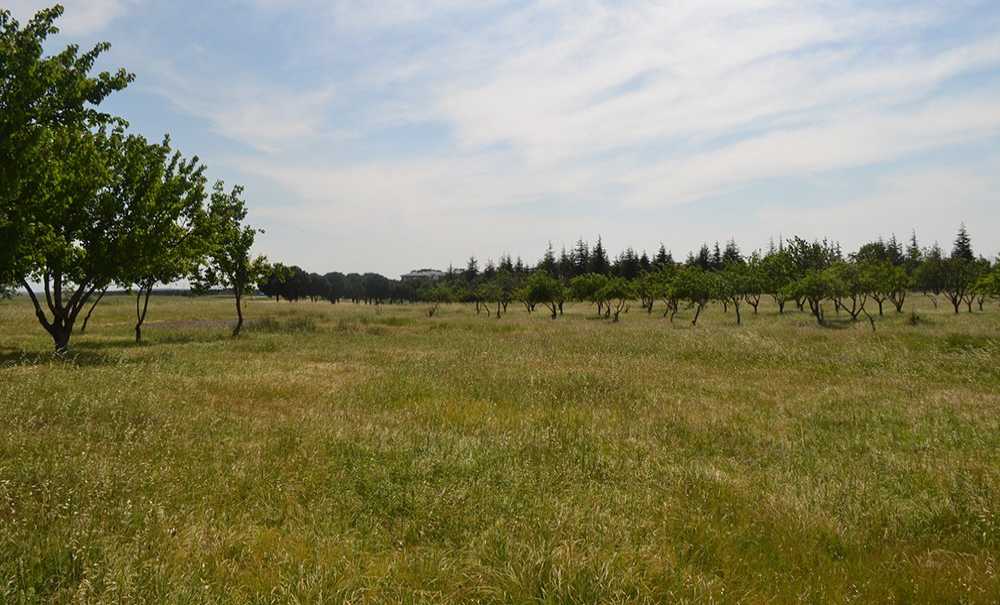 Çorlu'nun Kaderi Bu Olamaz!