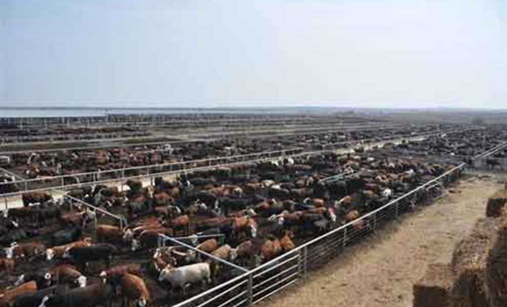 Çorlu'nun Kaderi Bu Olamaz!