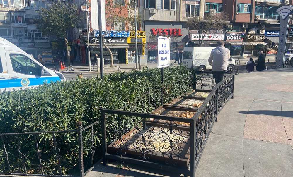 Cumhuriyet Meydanı'na Kuş Besleme Bölümü Yapıldı