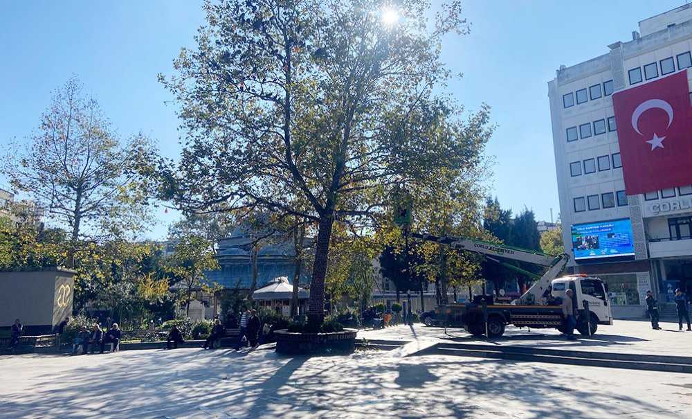 Cumhuriyet Meydanı'ndaki Ağaçlar Budanıyor