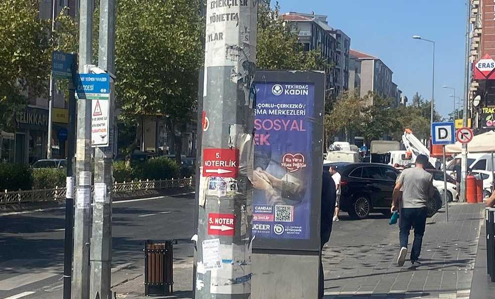 Direklerin Bu Hali Tepki Çekiyor