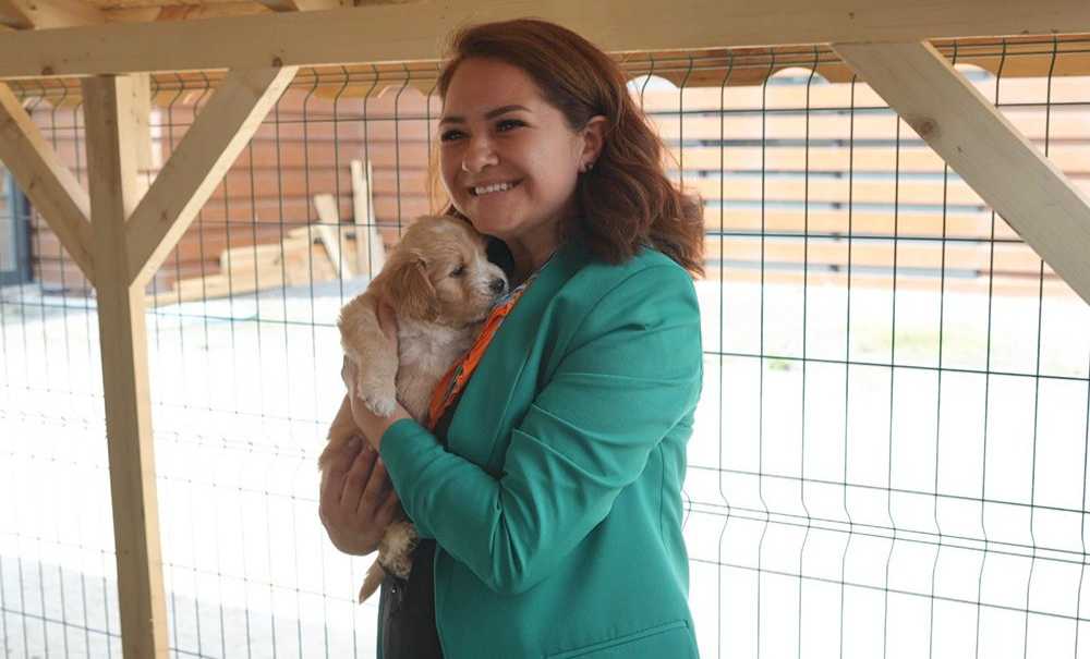 Ergene'de Can Dostlarımıza Sıcak Ve Güvenli Yuva