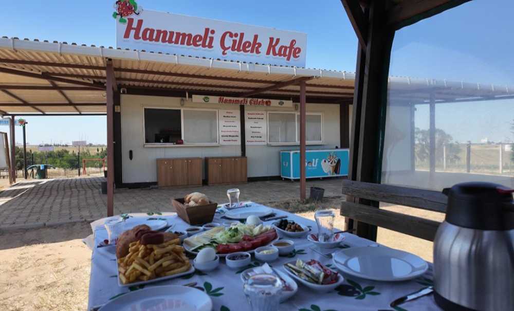 Ergene'de Lavanta Ve Çilek Tarlası Yeniden Hizmette