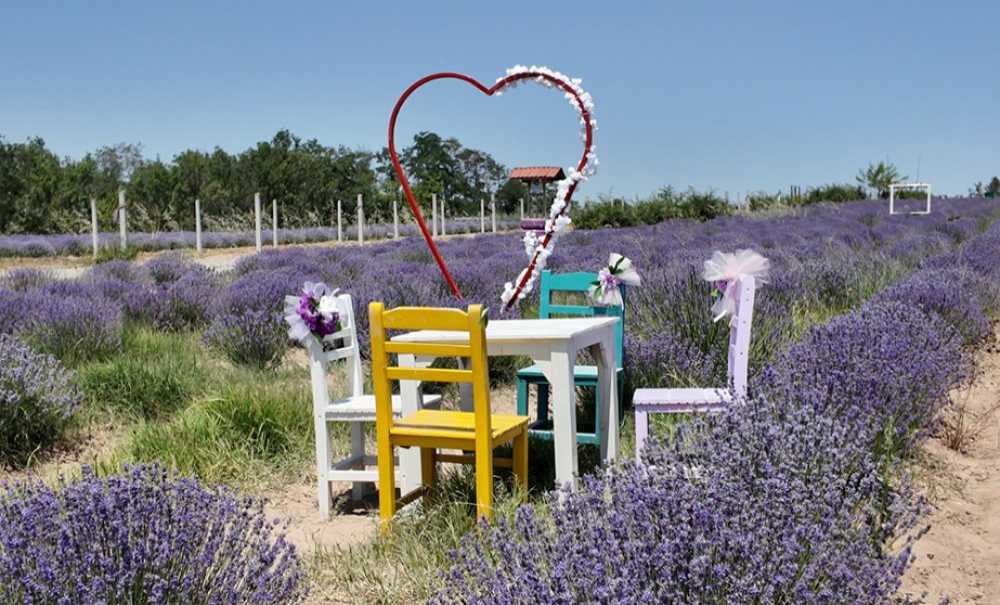 Ergene'de Lavanta Ve Çilek Tarlası Yeniden Hizmette