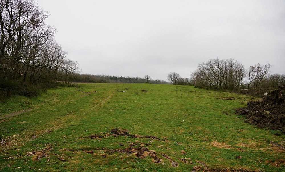 Esetçe Mevkine 1500 Köpek Kapasiteli Yaşam Merkezi