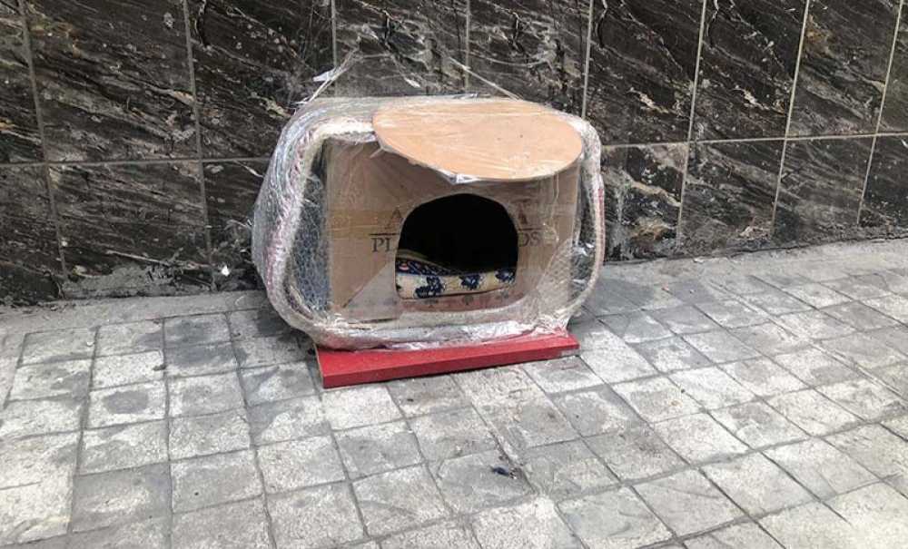 Esnaftan Yürekleri Isıtan Hareket