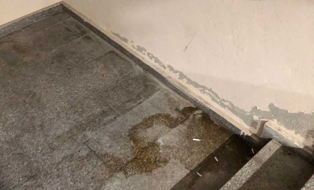 Gıda Satılan Yerde İstenmeyen Görüntüler